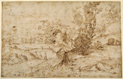 Návrat z letu (pero a hnědý inkoust na papíře) od Annibale Carracci