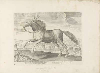 Arabisch pár Přinést (název na objektu) Paardenrassen uit de Koninklijke stallen van Don Juan van Oostenrijk (název série) Kůň, ve kterém se vybírají všechny druhy šlechticů: chování koní rozlišených z různých částí světa (...) (název série na předmětu) od Anonymous