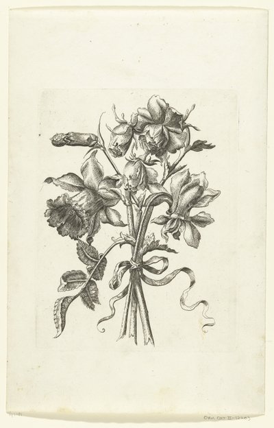 Tři květiny, včetně narcisu a karafiátu Novae Florum Icones (název série) od Anonymous