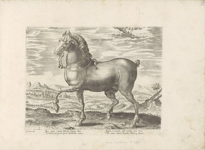 Duits pár Německý kůň (titul na předmětu) Paardenrassen uit de Koninklijke stallen van Don Juan van Oostenrijk (název série) Kůň, ve kterém se vybírají všechny druhy šlechticů: chování koní rozlišených z různých částí světa (...) (název série na ob od Anonymous