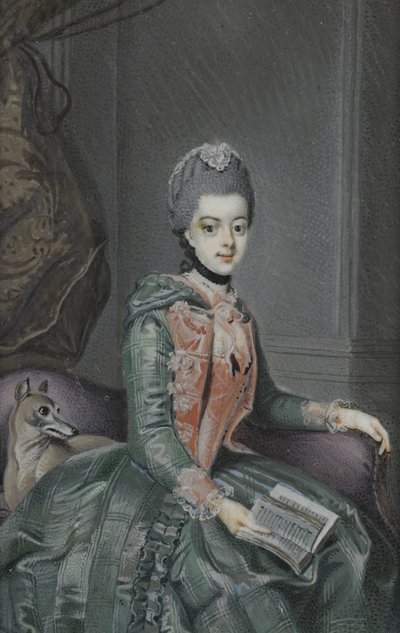 Frederika Sophia Wilhelmina (1751-1820), princezna z Pruska. Manželka prince Willema V od Anonymous