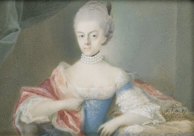 Frederika Sophia Wilhelmina (1751-1820), prinses van Pruisen, echtgenote van prins Willem V   1395218   cs       czech Successfully Translated  Original: Mrs. William Wright and Child Translat: Paní William Wright a dítě od Anonymous
