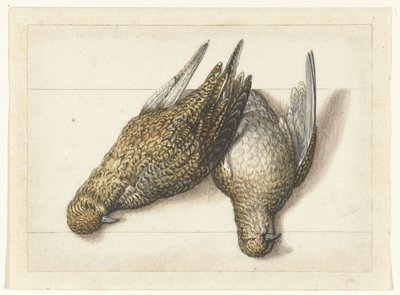 Goudplevier Lombardské album (název série) od Anonymous