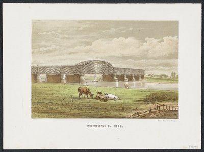 Železniční most Hedelse přes Maas, 1870 Železniční most v Hedel (titul na objektu) Hlavní železniční mosty v Nizozemsku (název série) od Anonymous