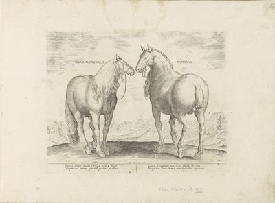 Hengst en merrie uit Rome Roman Matronal Horse (název na objektu) Paardenrassen uit de Koninklijke stallen van Don Juan van Oostenrijk (název série) Kůň, ve kterém se rozlišují všechny druhy šlechticů: chování koní vybraných z různých částí světa ( od Anonymous