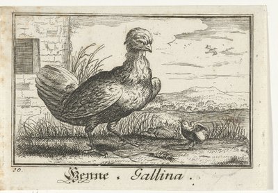 Kuře s kuřetem Henna, Gallina. (název na objektu) od Anonymous
