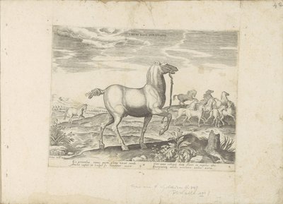 Kudde wilde paarden Dětské koňské dostihy (název na předmětu) Paardenrassen uit de Koninklijke stallen van Don Juan van Oostenrijk (název série) Kůň, ve kterém jsou všechny druhy šlechticů: vybraní z různých částí světa, kteří se vyznačují chováním koní (. od Anonymous