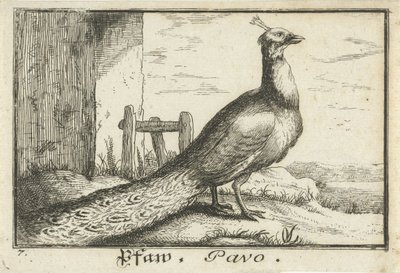 Krajina s pávem Pfaw, Pavo (titul na objektu) od Anonymous