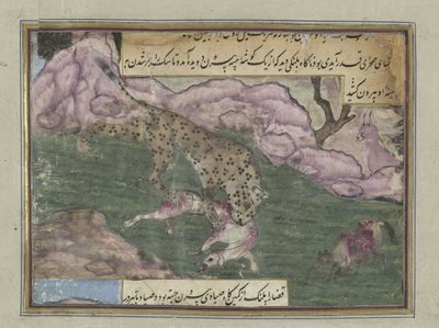Leopard zabije psa od Anonymous