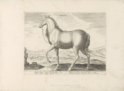 Pár u Albánie Albanus (název na objektu) Paardenrassen uit de Koninklijke stallen van Don Juan van Oostenrijk (název série) Kůň, ve kterém se vybírají všechny druhy šlechticů: chování koní rozlišených z různých částí světa (...) (název série na obj. od Anonymous