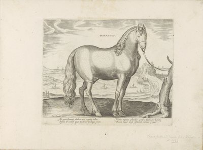 Paard uit Bretagne (Británie) Britové (název na objektu) Paardenrassen uit de Koninklijke stallen van Don Juan van Oostenrijk (název série) Kůň, ve kterém jsou všechny druhy šlechticů: vybraní z různých částí světa vyznačující se chováním koní (...) (seri od Anonymous