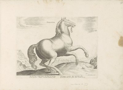 Paard uit Frankrijk francouzština (název na objektu) Paardenrassen uit de Koninklijke stallen van Don Juan van Oostenrijk (název série) Kůň, ve kterém se vybírají všechny druhy šlechticů: chování koní rozlišených z různých částí světa (...) (název série na od Anonymous