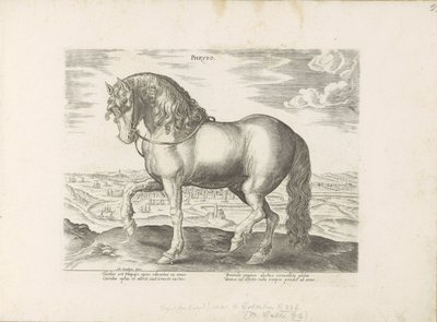 Pár ve Frísku Phryso (název na objektu) Paardenrassen uit de Koninklijke stallen van Don Juan van Oostenrijk (název série) Kůň, ve kterém se vybírají všechny druhy šlechticů: chování koní rozlišených z různých částí světa (...) (název série na ob od Anonymous