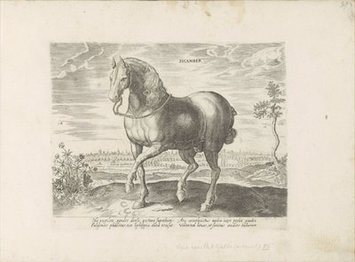 Pár uit Gelre Sicamber (název na objektu) Paardenrassen uit de Koninklijke stallen van Don Juan van Oostenrijk (název série) Kůň, ve kterém se vybírají všechny druhy šlechticů: chování koní rozlišených z různých částí světa (...) (název série na obje od Anonymous