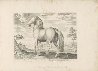Paard ze Sardinie Sardonicus (titul na předmětu) Paardenrassen uit de Koninklijke stallen van Don Juan van Oostenrijk (název série) Kůň, ve kterém se vybírají všechny druhy šlechticů: chování koní rozlišených z různých částí světa (...) (název série na od Anonymous