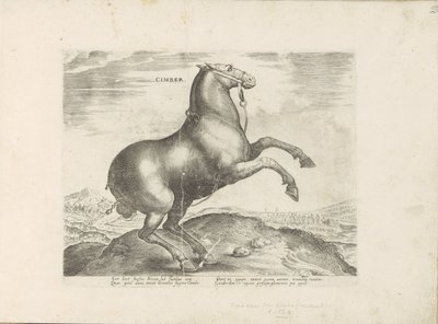 Pár uit Skythia Cimber (název na objektu) Paardenrassen uit de Koninklijke stallen van Don Juan van Oostenrijk (název série) Kůň, ve kterém se vybírají všechny druhy šlechticů: chování koní rozlišených z různých částí světa (...) (název série na obje od Anonymous