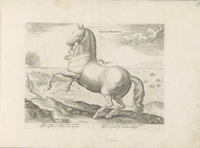 Pár uit Spanje Španělský kůň (titul na předmětu) Paardenrassen uit de Koninklijke stallen van Don Juan van Oostenrijk (název série) Kůň, ve kterém se vybírají všechny druhy šlechticů: chování koní rozlišených z různých částí světa (...) (název série od Anonymous