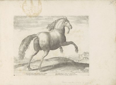 Pár uit Spanje Španělština (název na objektu) Paardenrassen uit de Koninklijke stallen van Don Juan van Oostenrijk (název série) Kůň, ve kterém se vybírají všechny druhy šlechticů: chování koní rozlišených z různých částí světa (...) (název série na obj. od Anonymous