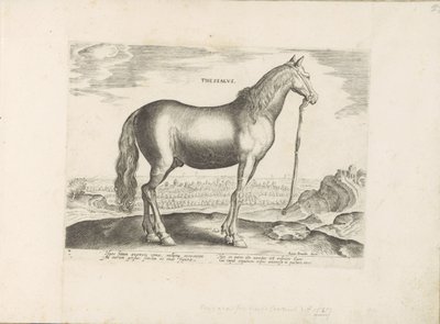 Pár v Thessalië Thessaly (název na předmětu) Paardenrassen uit de Koninklijke stallen van Don Juan van Oostenrijk (název série) Kůň, ve kterém se vybírají všechny druhy šlechticů: chování koní rozlišených z různých částí světa (...) (název série na od Anonymous