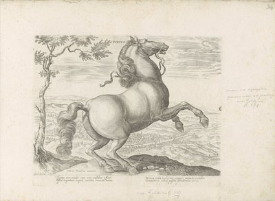 Paard uit Toscane Toskánsko (název na objektu) Kůň, ve kterém se vybírají všechny druhy šlechticů: chování koní rozlišených z různých částí světa (...) (název série na předmětu) od Anonymous