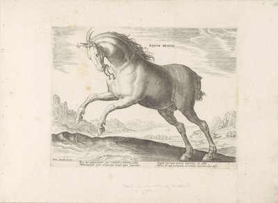 Paard van het ras Royal Horse (de Koninklijke) Královský kůň (titul na předmětu) Paardenrassen uit de Koninklijke stallen van Don Juan van Oostenrijk (název série) Kůň, ve kterém jsou všechny druhy šlechticů: vyznačují se chováním koní z různých částí svět od Anonymous