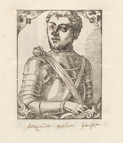 Portrét van Alessandro de
