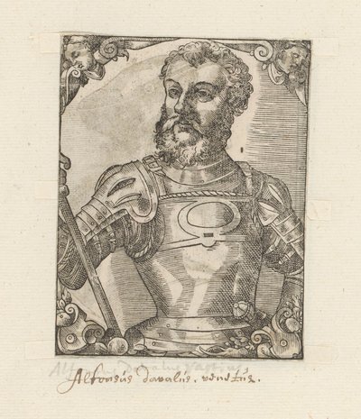 Portrét Alfonse d