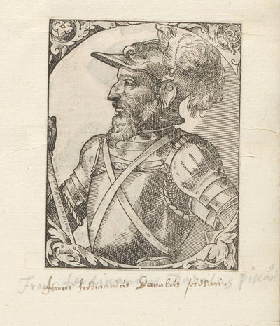 Portrét van Fernando d
