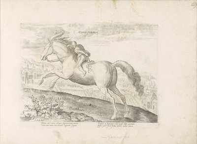 Renpaard se setkal s Ruiterem Maurský kůň (název na předmětu) Paardenrassen uit de Koninklijke stallen van Don Juan van Oostenrijk (název série) Kůň, ve kterém se vybírají všechny druhy šlechticů: chování koní rozlišených z různých částí světa (...) (název od Anonymous