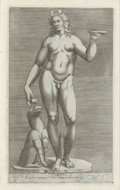 Sochař van Bacchus en een hond Bacchus a mramor v oblasti paláce Vallens (název na objektu) Starožitné sochy v Římě (název série) Ikony starověkých soch města Říma, které jsou vidět na veřejných místech (název série) od Anonymous