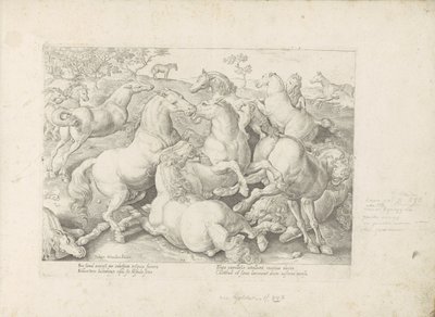 Vechtende paarden Kůň, ve kterém se vybírají všechny druhy šlechticů: chování koní rozlišených z různých částí světa (...) (název série na předmětu) od Anonymous