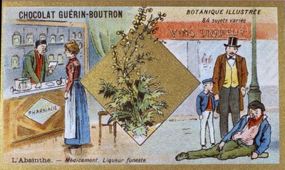 Absint: lék a smrtící likér. Gravírování (chromo). Reklamní chromolitografie pro čokolády Guerin-Boutron, konec 19. století. Botanická řada Illustree. od Anonymous Anonymous