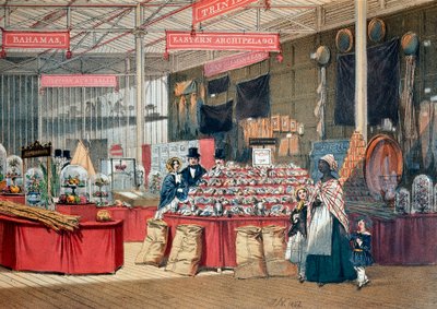 Pavilon koloniálních produktů na světové výstavě v Londýně. 1851. Londýn, Victoria and Albert Museum od Anonymous Anonymous
