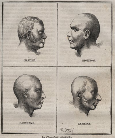 Kriminální frenologie v Brest Bagne (portréty zobrazující fyziognomické vlastnosti různých typů zločinců). Rytina do „Historie odsouzených od jejich vzniku po současnost““ (1877) od Pierra Zacconeho (1817-1895) (Colonia Penale - Penal od Anonymous Anonymous