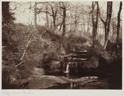 Edge Park, Cheshire, asi 1865 (albumenový tisk ze skleněného negativu) od Anonymous Anonymous