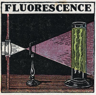 Fluorescence: důkaz fluorescence těles. Anonymní ilustrace z roku 1925. Soukromá sbírka. od Anonymous Anonymous