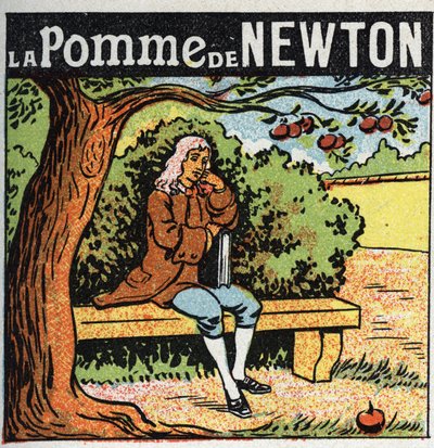 Gravitace: Newtonovo jablko. Isaac Newton (1642-1727) pozoruje jablko padající z jabloně a objevuje zákony zemské gravitace (gravitu). Anonymní ilustrace z roku 1925. Soukromá sbírka. od Anonymous Anonymous