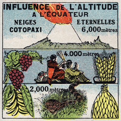 Meteorologie: vliv nadmořské výšky na klima. Anonymní ilustrace z roku 1925. Soukromá sbírka. od Anonymous Anonymous