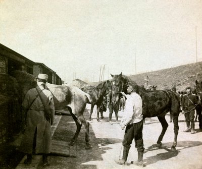 Fotografie z osobního alba poručíka pěchoty během prvních měsíců první světové války (1., Iere od Anonymous Anonymous
