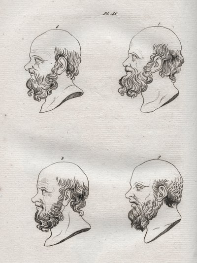 Fyziognomie - Fyziognomonie - Několik hlav řeckého filozofa Sokrata (asi 469 př. n. l. - 399 př. n. l.) (Busta Sokrata (asi 469 př. n. l. - 399 př. n. l.), athénský filozof) rytina z roku 1808 v „Umění poznávat muže“ prostřednictvím fyziognomie Johann Gasp od Anonymous Anonymous