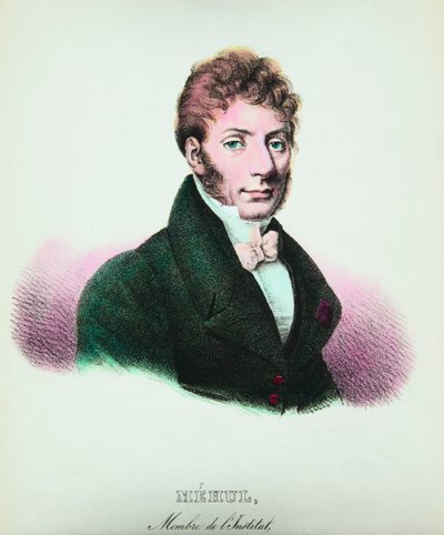 Portrét Etienna Nicolase Mehula (1763-1817), skladatel, Privee Collection od Anonymous Anonymous