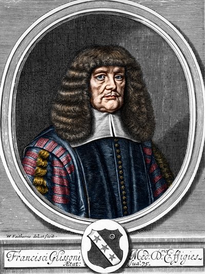 Portrét Francise Glissona (1599-1677) britského lékaře, anatoma. od Anonymous Anonymous
