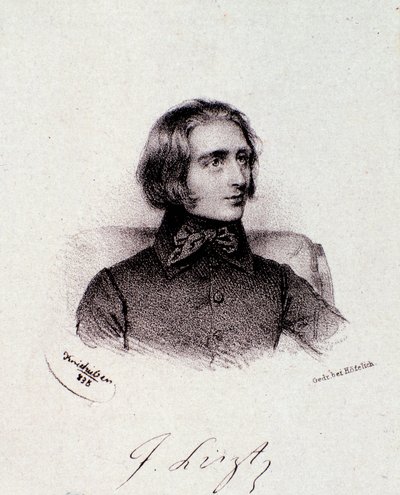 Portrét maďarského skladatele Franze Liszta (1811-1886) Rytina. 19. století. Milánská soukromá sbírka od Anonymous Anonymous