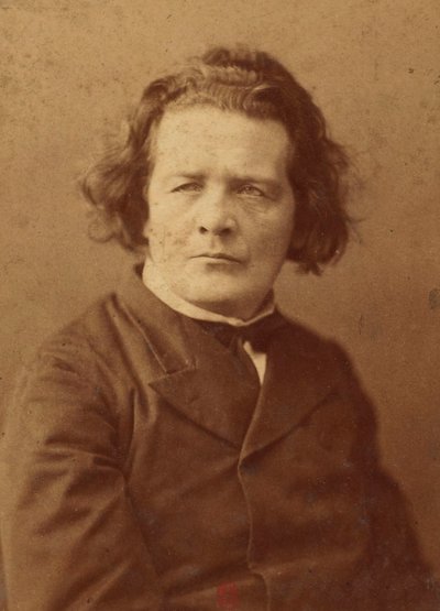 Portrét skladatele Antona Rubinsteina (1829-1894), Anonym . Foto albuminu. Soukromá sbírka od Anonymous Anonymous
