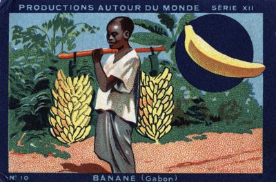Produkce po celém světě: Banana v Gabonu. Chromolitografie z roku 1933 v „Album Joseph-Milliat““ od Anonymous Anonymous