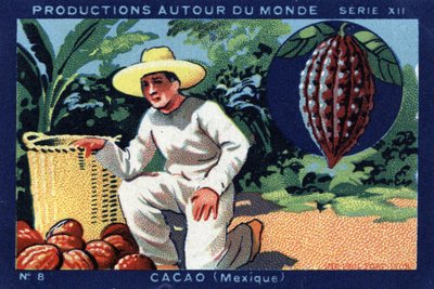 Produkce po celém světě: Kakao v Mexiku. Chromolitografie z roku 1933 v „Album Josepha-Milliata““ od Anonymous Anonymous