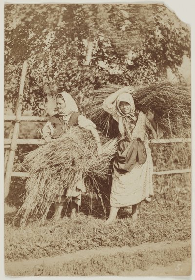 Ruské rolnice, asi 1855 (slaný tisk z negativu na voskovaném papíře) od Anonymous Anonymous
