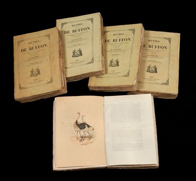 The Complete Artworks of Buffon (1707 - 1788) - soukromá sbírka od Anonymous Anonymous