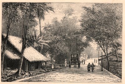Pohled na ulici z Colomba na Cejlonu (Srí Lanka). Rytina v „Katolické misie v XIX. století“ od Louis-Eugene (Louis Eugene) Louveta. soukromá sbírka. od Anonymous Anonymous