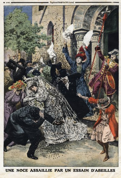 Svatbu napadl roj včel. Rytina v „“Le Petite Journal““, dne 28.7.1912. Soukromá sbírka. od Anonymous Anonymous